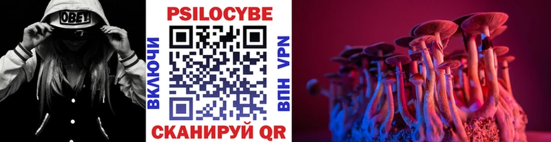 Купить закладки  Алексеевка  Галлюциногенные грибы мицелий 